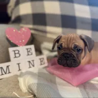 processed/9a159abc-b51a-4c27-8534-6e93f43741c1/facility/090a6107-b9ce-45e0-b1f0-b02ca710cf4f