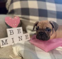 processed/9a159abc-b51a-4c27-8534-6e93f43741c1/facility/090a6107-b9ce-45e0-b1f0-b02ca710cf4f