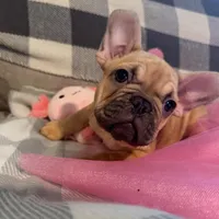 processed/9a159abc-b51a-4c27-8534-6e93f43741c1/facility/320bcf17-1fb9-49db-b1b5-3903c009e7d8