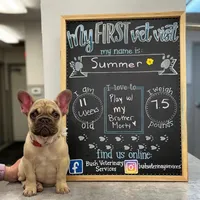 processed/9a159abc-b51a-4c27-8534-6e93f43741c1/facility/3af1fcde-384f-4f0a-9e84-995b9065f122