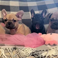 processed/9a159abc-b51a-4c27-8534-6e93f43741c1/facility/3ce49cfc-6d26-43a9-9d6c-642883f3fd19