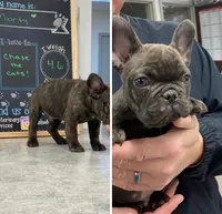 processed/9a159abc-b51a-4c27-8534-6e93f43741c1/facility/497e2e2e-99de-4136-b411-3b77582569d5