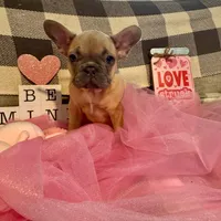 processed/9a159abc-b51a-4c27-8534-6e93f43741c1/facility/7a9ef5dd-33f1-425a-81fa-a3a82bcf6016