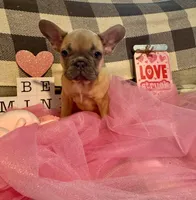 processed/9a159abc-b51a-4c27-8534-6e93f43741c1/facility/7a9ef5dd-33f1-425a-81fa-a3a82bcf6016