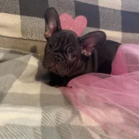 processed/9a159abc-b51a-4c27-8534-6e93f43741c1/facility/89dcdad4-e4dd-4648-b549-805d9b1de68b