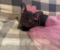 processed/9a159abc-b51a-4c27-8534-6e93f43741c1/facility/89dcdad4-e4dd-4648-b549-805d9b1de68b