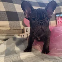 processed/9a159abc-b51a-4c27-8534-6e93f43741c1/facility/91907de6-280c-4b3c-9dd6-99e913c28e2d