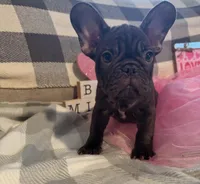 processed/9a159abc-b51a-4c27-8534-6e93f43741c1/facility/91907de6-280c-4b3c-9dd6-99e913c28e2d