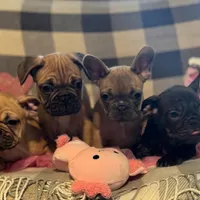 processed/9a159abc-b51a-4c27-8534-6e93f43741c1/facility/c9b97e38-474d-4257-8116-c44cef1c8641