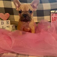 processed/9a159abc-b51a-4c27-8534-6e93f43741c1/facility/f92cb6da-8782-48cc-94d3-a9e7cab6f5bd