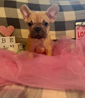 processed/9a159abc-b51a-4c27-8534-6e93f43741c1/facility/f92cb6da-8782-48cc-94d3-a9e7cab6f5bd