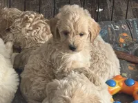 processed/9a38b176-bc4f-4abd-acef-49e834163961/listing/ba18fec9-af63-477f-861e-a1a5c3eb5e11/4535c845-fbcf-4a33-9981-b6025a398f92