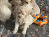 processed/9a38b176-bc4f-4abd-acef-49e834163961/listing/ba18fec9-af63-477f-861e-a1a5c3eb5e11/5f3ad364-a5c6-4c56-bf2d-7245f0f18872