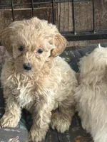 processed/9a38b176-bc4f-4abd-acef-49e834163961/listing/ba18fec9-af63-477f-861e-a1a5c3eb5e11/a677307e-7638-4b75-b8ff-686d2f10404d