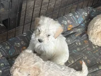 processed/9a38b176-bc4f-4abd-acef-49e834163961/listing/db5b43ff-0841-4f03-bad6-38b4b7ff99bb/76a75d11-778d-490b-bb97-80fa4d649165