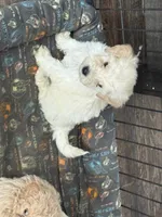 processed/9a38b176-bc4f-4abd-acef-49e834163961/listing/db5b43ff-0841-4f03-bad6-38b4b7ff99bb/d56e7246-7e12-4182-b3a8-3d49479cfdf4