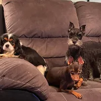 processed/9a437beb-dba1-4e7b-bd54-5d5663bb3b09/facility/feb53fee-75dc-42a0-af18-470ef002148b