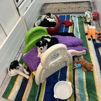 processed/9a43bf21-83b5-4acc-8b77-2ca6a9ccee7c/facility/018ac5d3-4986-4a3e-96bf-07bb25cd0721