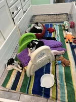 processed/9a43bf21-83b5-4acc-8b77-2ca6a9ccee7c/facility/018ac5d3-4986-4a3e-96bf-07bb25cd0721