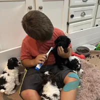 processed/9a43bf21-83b5-4acc-8b77-2ca6a9ccee7c/facility/204cb760-18d4-4f99-977d-96fbc2d66263