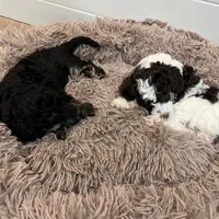 processed/9a43bf21-83b5-4acc-8b77-2ca6a9ccee7c/facility/243f79e7-6dfc-4645-bc5b-ddda4c1f40fa