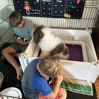 processed/9a43bf21-83b5-4acc-8b77-2ca6a9ccee7c/facility/66cafa7e-1c2c-4ef0-9e64-46a703c22b67