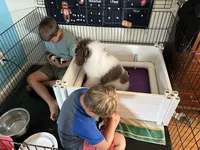 processed/9a43bf21-83b5-4acc-8b77-2ca6a9ccee7c/facility/66cafa7e-1c2c-4ef0-9e64-46a703c22b67