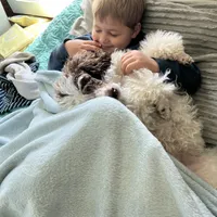 processed/9a43bf21-83b5-4acc-8b77-2ca6a9ccee7c/facility/6c2ae93e-9ef1-4181-84b2-ba6fa724ddde