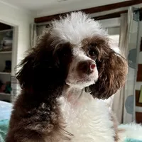 processed/9a43bf21-83b5-4acc-8b77-2ca6a9ccee7c/facility/f28ffedc-242a-4504-a05b-00c9d9dccde0