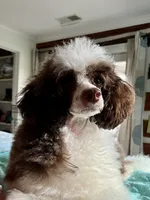 processed/9a43bf21-83b5-4acc-8b77-2ca6a9ccee7c/facility/f28ffedc-242a-4504-a05b-00c9d9dccde0