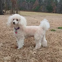 processed/9a468100-d553-43be-8ed2-aee350e04db8/facility/1264d783-c94d-47dd-bee7-1b2921879008