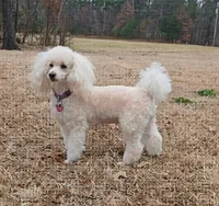 processed/9a468100-d553-43be-8ed2-aee350e04db8/facility/1264d783-c94d-47dd-bee7-1b2921879008