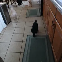 processed/9a468100-d553-43be-8ed2-aee350e04db8/facility/51351473-bd20-4a81-b66a-e640a04e9b22