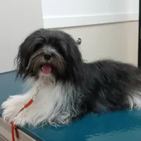 processed/9a468100-d553-43be-8ed2-aee350e04db8/facility/566f3a6f-aa17-4f99-8a75-96c9ddc2362c