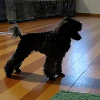 processed/9a468100-d553-43be-8ed2-aee350e04db8/facility/76801706-3d7c-4e87-b1f1-f72fdaef42b6