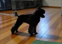 processed/9a468100-d553-43be-8ed2-aee350e04db8/facility/76801706-3d7c-4e87-b1f1-f72fdaef42b6