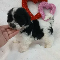 processed/9a468100-d553-43be-8ed2-aee350e04db8/facility/aa76dc38-5936-45b3-a664-28596b768789