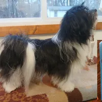 processed/9a468100-d553-43be-8ed2-aee350e04db8/facility/e045d538-6054-438a-a34d-67dc0051d25c