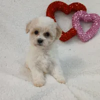 processed/9a468100-d553-43be-8ed2-aee350e04db8/facility/f4dfcac4-ef70-4fc4-9db0-2d5fccbbb5b4