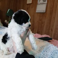 processed/9a468100-d553-43be-8ed2-aee350e04db8/facility/f83fa63f-0ca1-4d3d-8c0b-7b8fa17653af