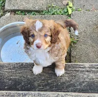 processed/9a49046d-86b6-4193-8400-a4b58ddf7d30/facility/f0d2d355-13d7-42c7-b9a0-d22d8783ad7b