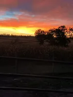 processed/9a528a89-0aca-4f05-8406-036d3aea5e04/facility/77f8d802-b68c-416b-a1f9-8058588cbc33