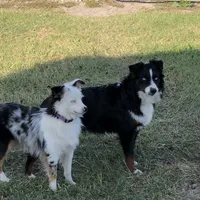 processed/9a540cc2-194a-4f9e-9e02-2f9a605c3629/facility/2496e01b-7d05-4d38-b3d4-ffb9689d1517