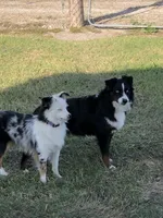 processed/9a540cc2-194a-4f9e-9e02-2f9a605c3629/facility/2496e01b-7d05-4d38-b3d4-ffb9689d1517