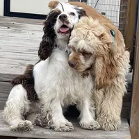 processed/9a540cc2-194a-4f9e-9e02-2f9a605c3629/facility/e2a8846a-77d8-46df-8863-980bfcc6f712