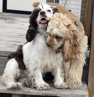 processed/9a540cc2-194a-4f9e-9e02-2f9a605c3629/facility/e2a8846a-77d8-46df-8863-980bfcc6f712