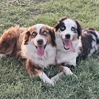 processed/9a540cc2-194a-4f9e-9e02-2f9a605c3629/facility/fa1c3dc6-ffc9-49c9-8785-9cbd79d45448