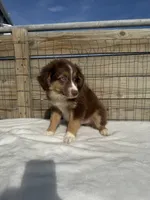 processed/9a540cc2-194a-4f9e-9e02-2f9a605c3629/listing/4133652d-a8cc-4349-a6ac-4985adffb245/0694e710-874a-4f8d-8458-32a8c8a2d334