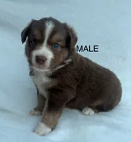 processed/9a540cc2-194a-4f9e-9e02-2f9a605c3629/listing/4133652d-a8cc-4349-a6ac-4985adffb245/334d7f7a-0c2d-4d2e-a063-20af98c3f0a7