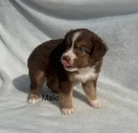 processed/9a540cc2-194a-4f9e-9e02-2f9a605c3629/listing/4133652d-a8cc-4349-a6ac-4985adffb245/49287bc9-405d-48d6-a359-38c22971e06a